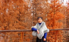 日本道v清无卡无马